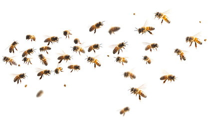 Swarm of Bees Isolated on White Background - A Bee Swarm Swarm Swirl