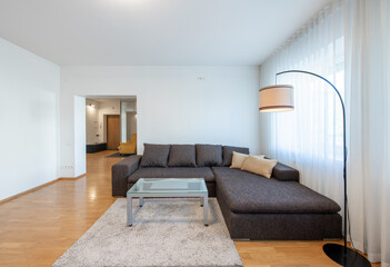 Modern Home Living Room Interior. Luxurious Stylish Modern Apartment. Open Space, Stylish Couch Sofa