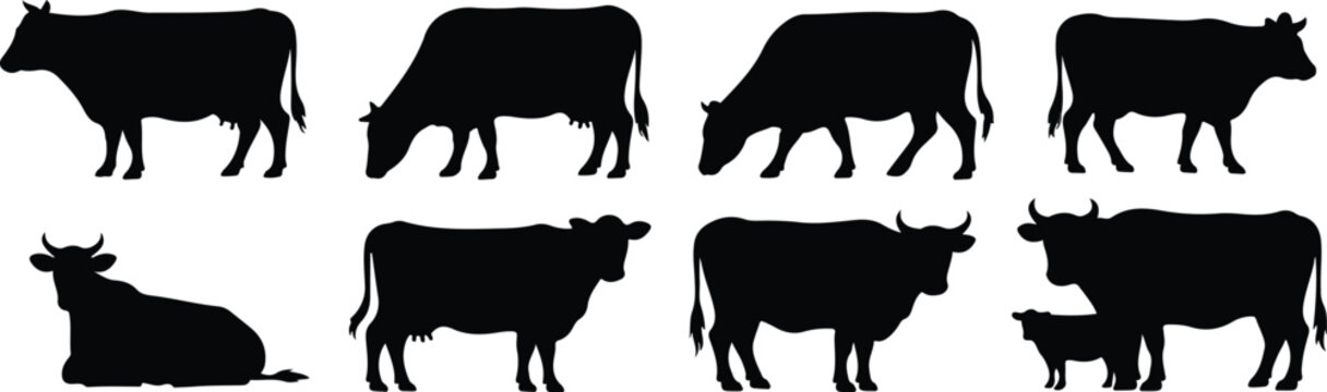 Cow silhouette vector set showing eight different poses including standing, grazing, resting and mother-calf combination&mdash;ideal for farm animals, nature and countryside themes vector template flat grap