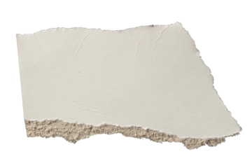 Ripped torn white paper edge on transparent background, paper tear stripes cut out design element