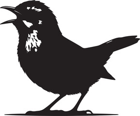  Singing Cisticola in silhouette full white baackground.