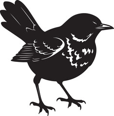 Spotted Morning Thrush in silhouette full white baackground.