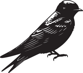 Swallow bird in silhouette full white.