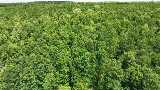 Luftbildaufnahme der Sophienhoehe bei Stetternich, Juelich und angrenzendem Braunkohletagebau im Rheinischen Revier, Kontrast zwischen Natur und Industrie