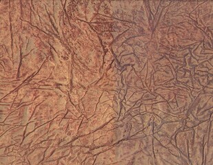 Close-up of a textured, wrinkled brown surface resembling aged paper or leather, featuring intricate lines and organic patterns for a vintage, abstract background.
