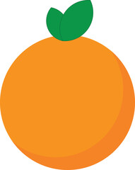 vector illustration of an orange fruit