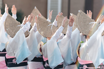 阿波踊り