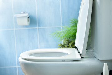 Detail of the side of a clean white toilet bowl with the lid open