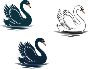 Three elegant black swans in water one sketch and two illustrations