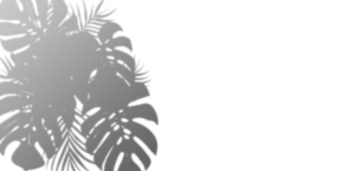 Stylish grayscale floral illustration, perfect for adding a touch of elegance to your designs.  Ideal for backgrounds, patterns, or decorative elements.