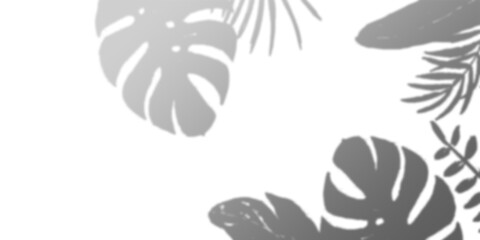 Stylish grayscale illustration of tropical leaves. Perfect for backgrounds, patterns, or design elements.  High-resolution image.
