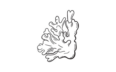 Hand drawn coral branch doodle icon. Vintage organic sea, ocean themed plant. Marine line art reef element for reef design, ocean pattern. 