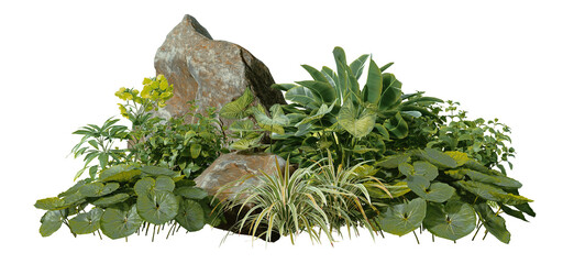 3D render of a garden decorated with stones and tropical plants on a transparent background.
