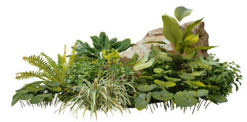 3D render of a garden decorated with stones and tropical plants on a transparent background.
