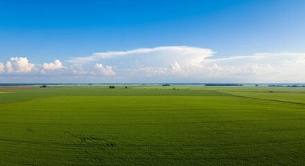 Lush Green Field Under Bright Blue Sky with Fluffy White Clouds in the Background