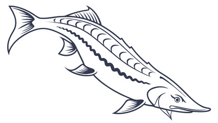 Sturgeon fresh  line art vector silhouette illustration