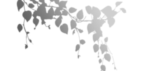 Stylized grayscale image depicting cascading floral branches with rounded leaves and buds. Dark background highlights the silvergray plant forms.