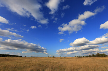 Nice autumn landscape in steppe under blue sky with clouds