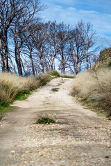 Hiking on trail along abandoned open-pit mine and burnt trees near Mijas, Spain 