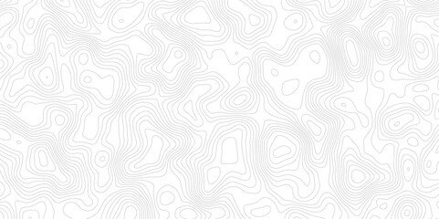 white background with abstract topographic grey contour lines creating a seamless pattern design A Perfect Fusion of Geometric Grid Lines, and Minimalist Design Elements"