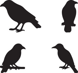 birds silhouettes set