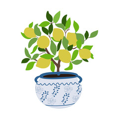 Lemon tree with yellow fruits in a pot on the white background. Vector illustration. Summer garden.