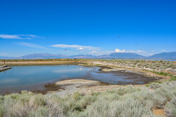 Obraz premium Antelope Island by the Great Salt Lake on a hot summer day