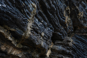 BAckground of Pancake Rock from sedimentary process in tropical rainforest island