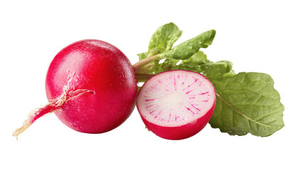 Radish isolated fresh radish and half a radish on transparent background

