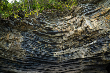 BAckground of Pancake Rock from sedimentary process in tropical rainforest island