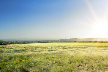 View of a grass meadow with warm golden hour sunset and sunrise time. Natural background. Summer...