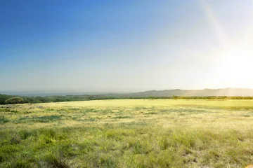 Gordijnen View of a grass meadow with warm golden hour sunset and sunrise time. Natural background. Summer concept © Leo Lintang
