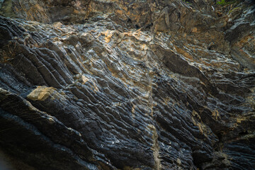 BAckground of Pancake Rock from sedimentary process in tropical rainforest island