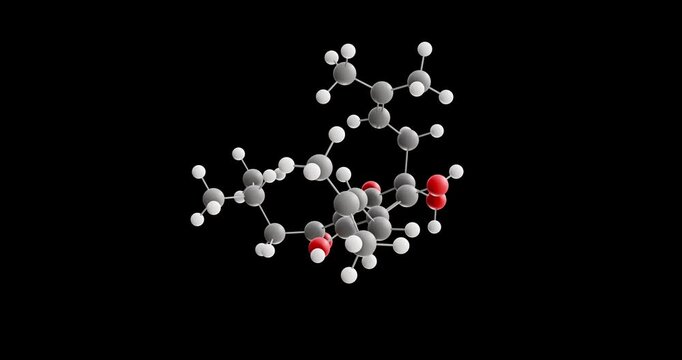 Humulone molecule, rotating 3D model of alpha acids, looped video on a black background
