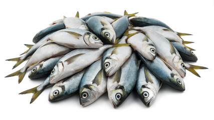 Obraz premium Fresh Fish Piled on White Background