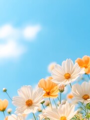 A vibrant field of yellow and white flowers under a clear blue sky creates a cheerful atmosphere, ideal for spring-themed designs, gardening promotions, or wellness content,