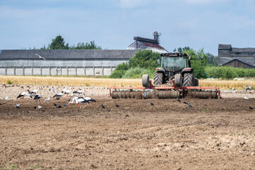 Tractor Plowing Field Surrounded by Birds – Modern Organic Farming with Traditional Countryside Background