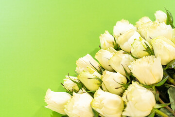 Cream White Roses on Bright Green Surface
