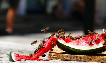 Bees flaying around the watermelon summer fruit background