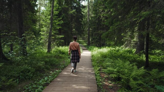Walk inside fabulous forest in summer, one woman tourist strolling on pathway. Carefree female traveler hiking and admiring tall coniferous trees, eco-tourism in summer weekend, discover new location