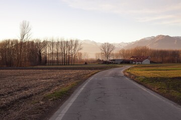 Fototapeta premium country road in the countryside
