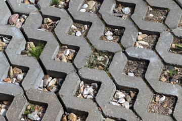 Patterned Concrete Pavement with Stones and Small Green Plants