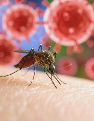  Close-up of Mosquito Biting Human Skin in Summer
