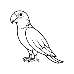 parrot bird line art vector illustration tropical animal exotic pet wildlife drawing graphic design