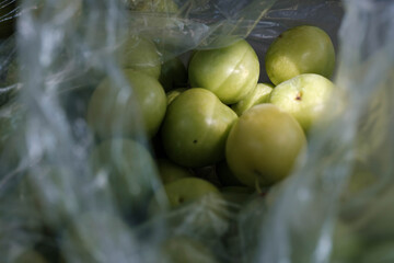 Turkish green plum