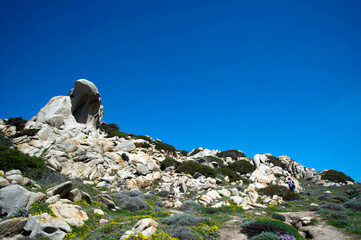Oddly shaped granite rocks on Capo Testa, the near the sea along the coast, Santa Teresa di...