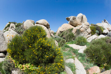 Oddly shaped granite rocks on Capo Testa, the near the sea along the coast, Santa Teresa di...
