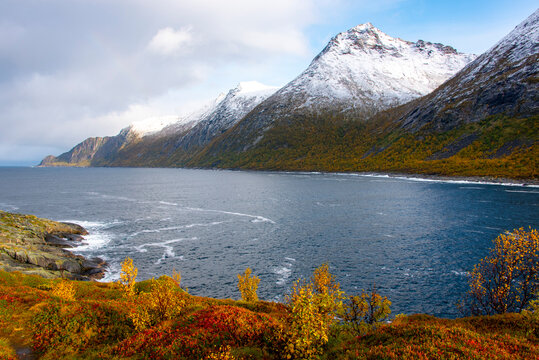 Autumn on Husoy Island - Norway