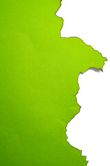 Green paper ripped message torn with burnt edges isolated on a white background. Copy space