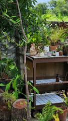 tropical garden in thailand